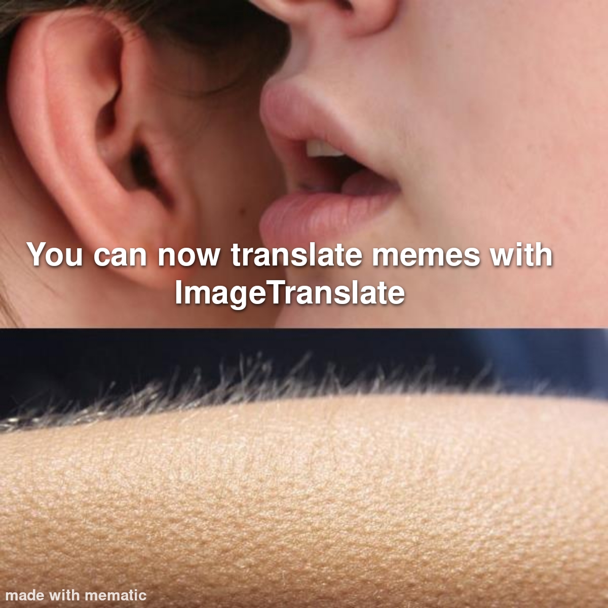 Language and Translation Memes