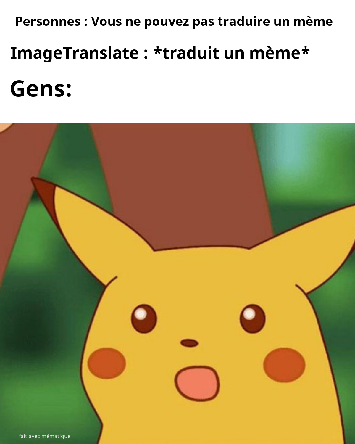 Language and Translation Memes